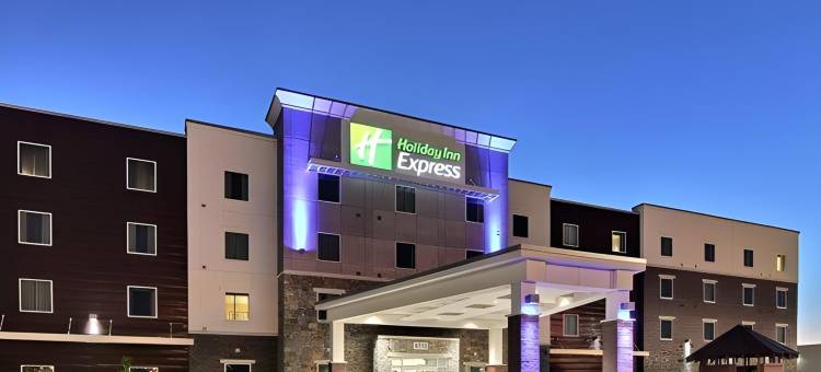 Holiday Inn Express 法戈(Holiday Inn Express FARGO SW - I-94 MEDICAL CENTER by IHG)图片