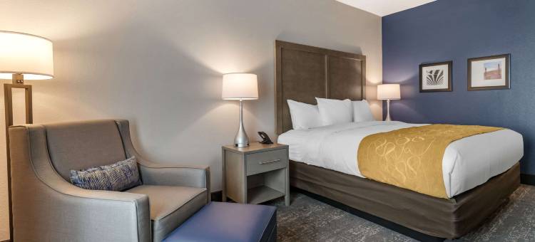 舒适酒店和套房 - 杰克逊维尔橙园靠近海军航空站(Comfort Inn & Suites Jacksonville - Orange Park Near Naval Air Station)图片