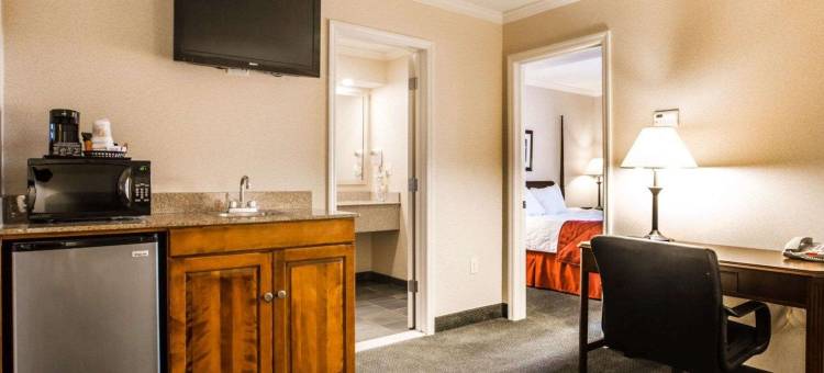 克拉丽奥套房酒店(乔治湖奥特莱斯)(Clarion Inn & Suites at the Outlets of Lake George)图片