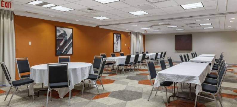 舒适酒店套房(Comfort Inn & Suites)图片