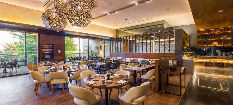 瓜达拉哈拉安达雷斯凯悦酒店(Hyatt Regency Andares Guadalajara)图片