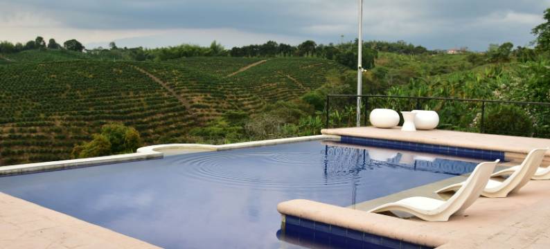 Finca酒店Los girasoles(Finca Hotel Los Girasoles)图片