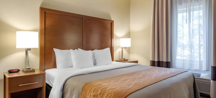 萨沃尼舒适套房酒店-秀格尔洛弗(Comfort Inn & Suites Suwanee - Sugarloaf)图片