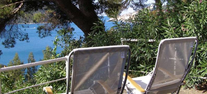 Bouganville Portovenere – Beachfront – Invaluable Landing stage on the sea图片