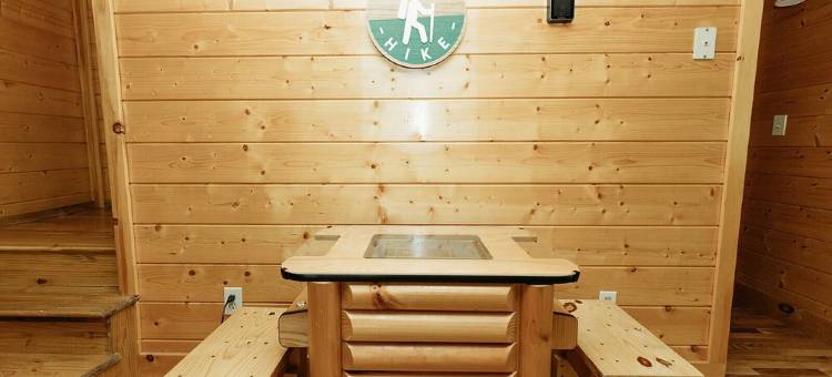 美丽的山林后院！！！木屋 整日鸟鸣(Beautiful wooded Mountain Backyard !!! Birds singing all day long.)图片