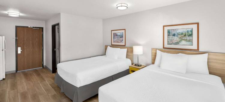 罗切斯特医城Birch Hill套房(Birch Hill Suites Rochester - Med City)图片