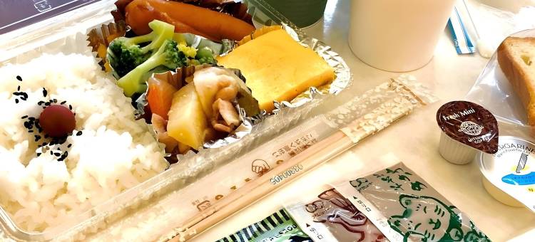 东京东横町田站东口小田急森酒店(Toyoko Inn Tokyo Machida-eki Odakyu-sen Higashi-guchi)图片