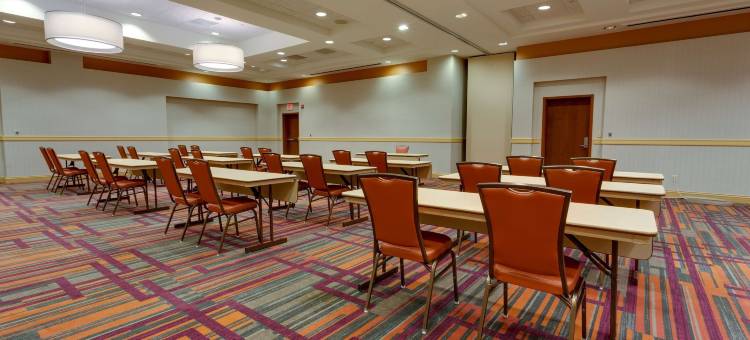 巴吞鲁日德鲁里套房酒店(Drury Inn & Suites Baton Rouge)图片