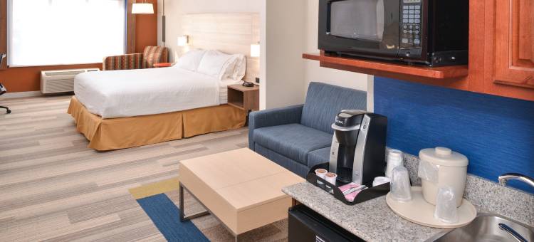 智选假日套房酒店圣迭戈OTAY MESA(Holiday Inn Express & Suites San Diego Otay Mesa)图片