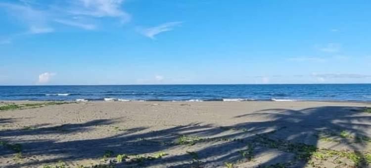 威斯特法莉雅海滩酒店(Hotel Playa Westfalia)图片