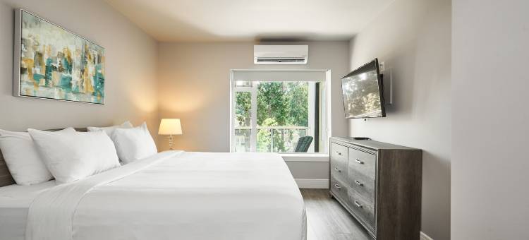 索罗套房酒店(SoLo Suites)图片