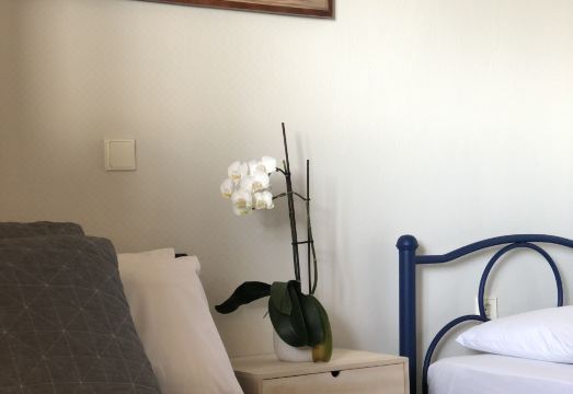 Red Coral ApartmentsHotel Overview