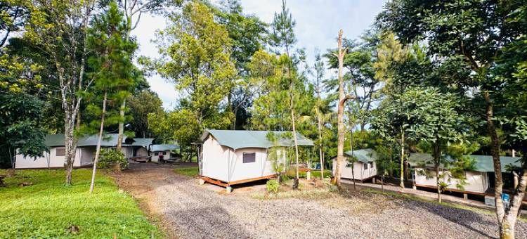 Banyu Pinus Camper Park图片