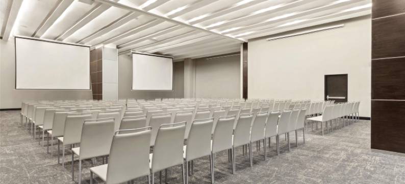 蒙特雷圣佩德罗诺翰精选(NH Collection Monterrey San Pedro)图片