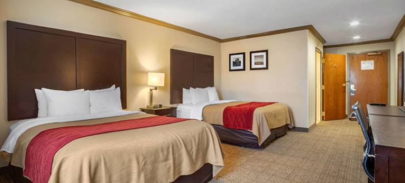 卡斯特罗谷舒适酒店(Comfort Inn Castro Valley)图片