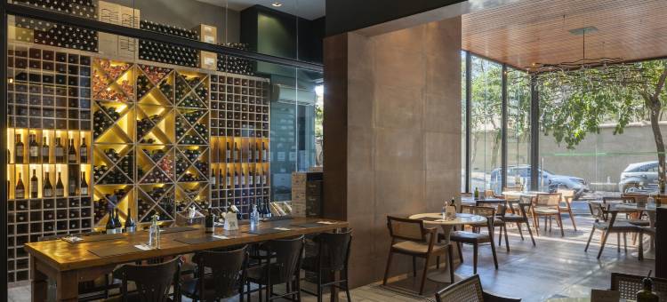 贝洛奥里藏特萨瓦斯丽笙酒店(Radisson Blu Belo Horizonte Savassi)图片