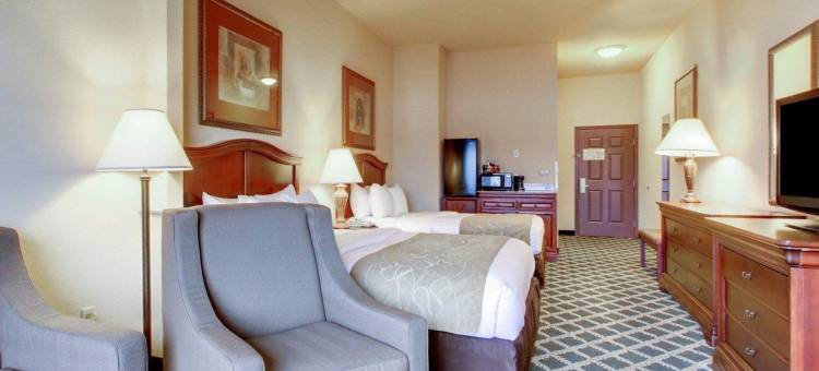 凯隆酒店(Clarion Suites)图片