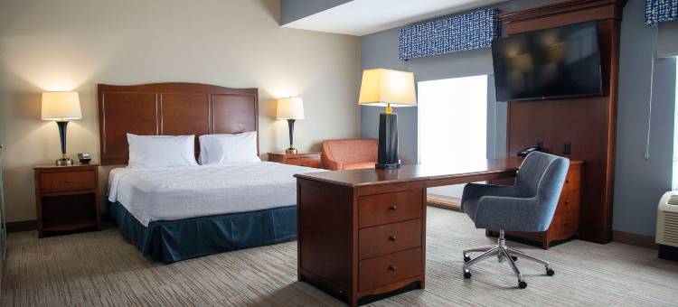杰克森维尔欢朋酒店(Hampton Inn & Suites Jacksonville)图片