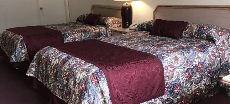 雷鸟汽车旅馆(Thunderbird Motel)图片