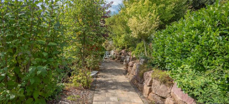 Struck乡村酒店(Struck Landhotel & Spa)图片