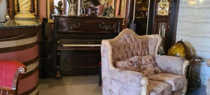 奥兰大使(Ambassadeurs Oran)图片