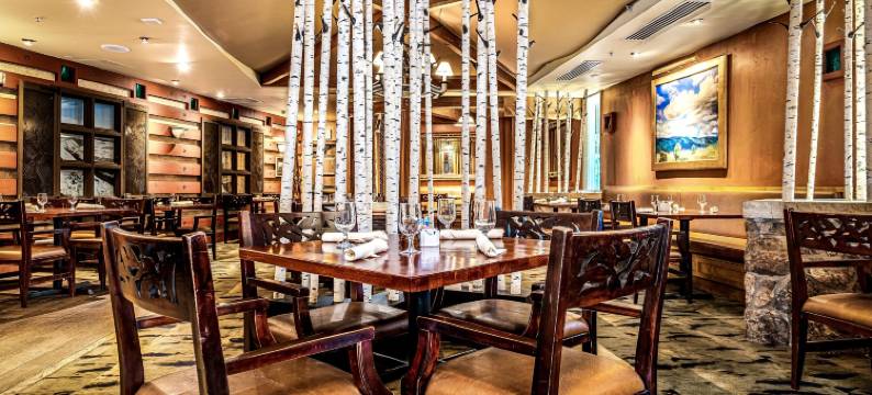 斯廷博特格兰德酒店(The Steamboat Grand)图片