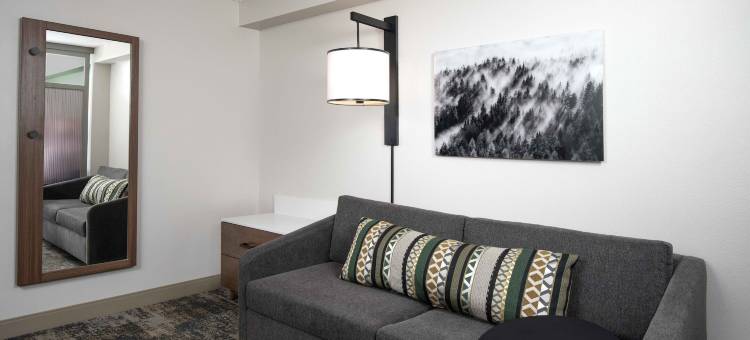 丹佛南/帕克迈德斯凯悦嘉轩酒店(Hyatt Place Denver South Park Meadows)图片
