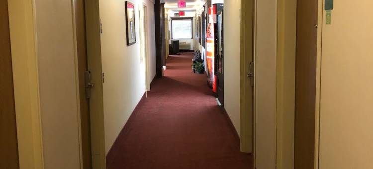 品质酒店(Quality Inn)图片