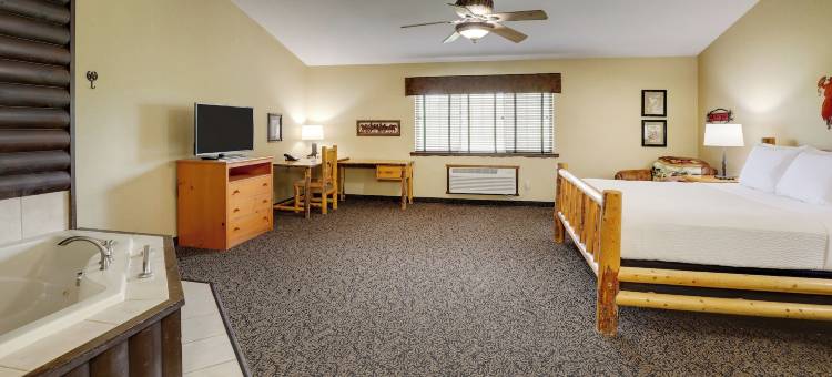 斯托尼溪会议中心及酒店-拉克罗斯(Stoney Creek Hotel la Crosse - Onalaska)图片