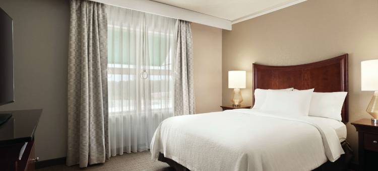希尔顿安泊酒店-不伦瑞克(Embassy Suites by Hilton Brunswick)图片