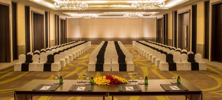 古瓦哈蒂丽笙酒店(Radisson Blu Hotel Guwahati)图片