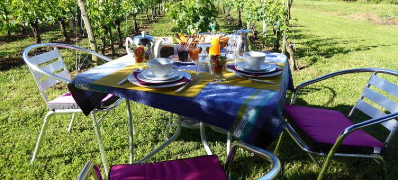 威格尼莱劳拉酒店(La Vigneraie de Laura)图片