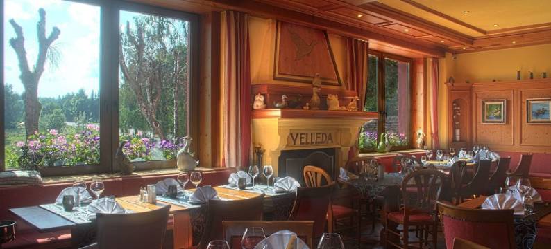 多农山酒店(Hotel du Donon)图片