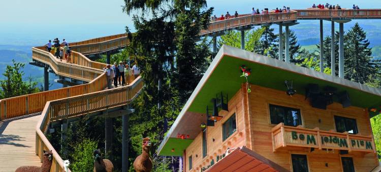 巴亚绪瓦尔德酒店(Hotel Bayerischer Wald)图片