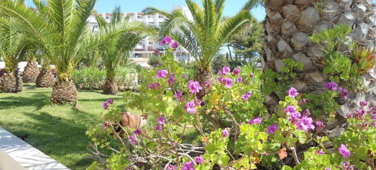 普拉迪姆萨塔乌拉利亚德瑞欧酒店(Grand Hotel Palladium Santa Eulalia del Río)图片