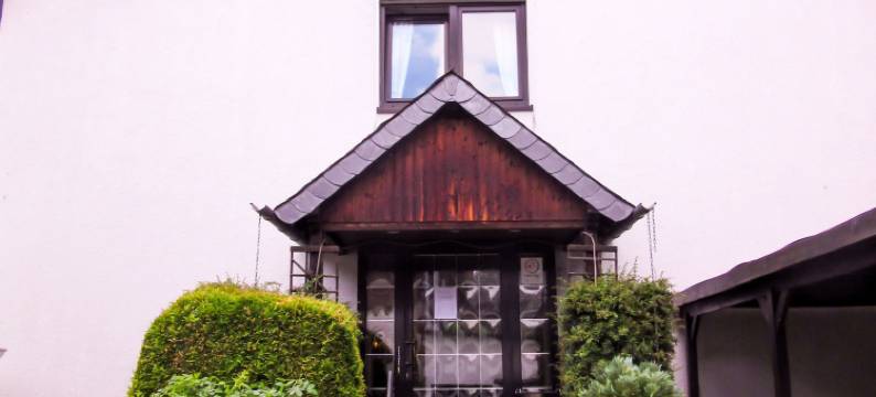 花卉酒店(Hotel Zur Flora)图片