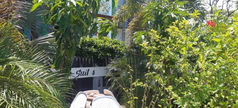 Villas Verdes的Bellavista套房(BellaVista Suites by Villas Verdes - Samara Beach)图片