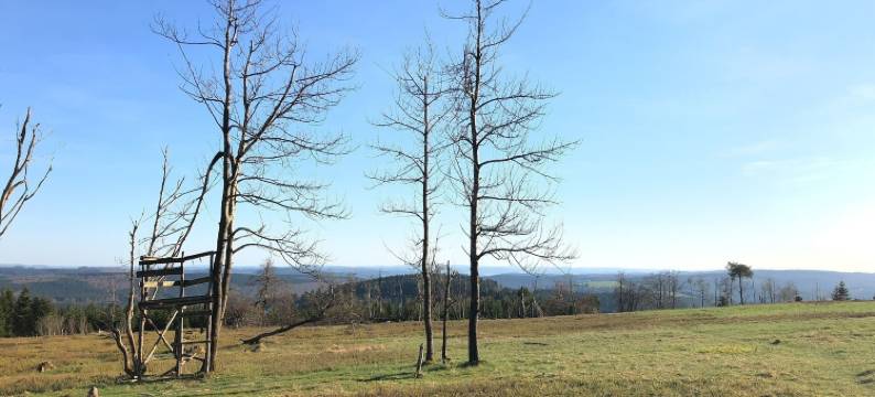 阿斯滕图尔姆酒店&餐厅(Astenturm Hotel)图片