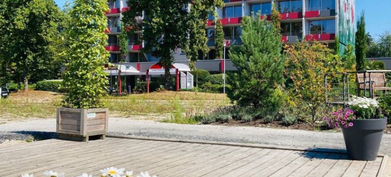 公园酒店(Hotel im Park)图片