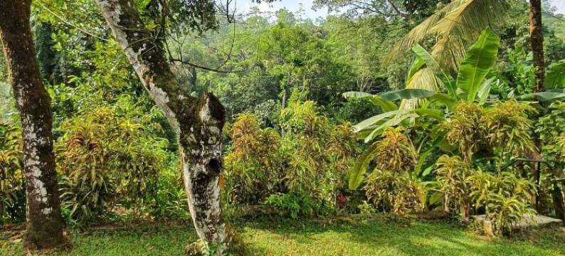 尼尔迪亚小屋(Nildiya Cottages)图片