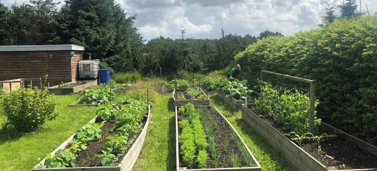 诺亚方舟民宿(Noah's Ark)图片