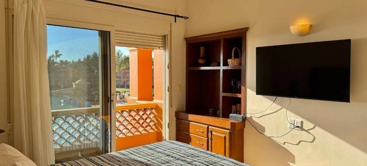 海星(Estrella de Mar)图片