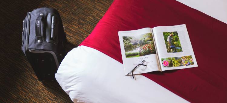 The Originals Access, Halt'Hotel, 克莱蒙阿涅茨(The Originals Access, Halt'Hotel, Clermont)图片