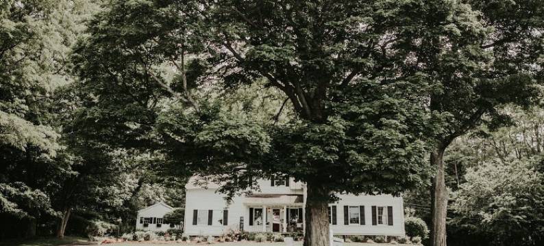 庞德 1835 酒店(The Bond 1835)图片