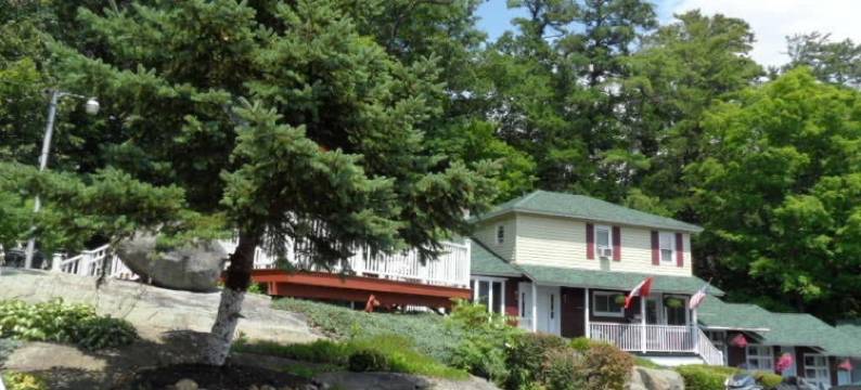 松树溪汽车旅馆(Pinebrook Motel)图片