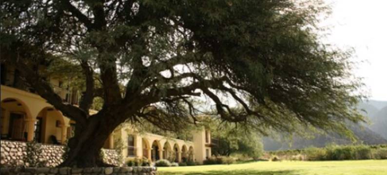 阿塔拉鲁那精品酒店&Spa(Altalaluna Hotel Boutique & Spa)图片