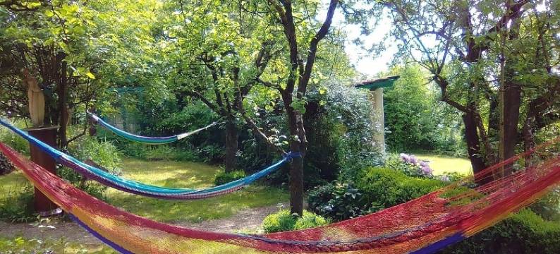 里奇托夫酒店和咖啡厅(Gastehaus Und Cafe - Lichthof)图片