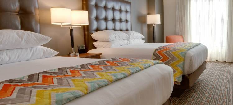 夏洛特阿罗伍德德鲁里套房酒店(Drury Inn & Suites Charlotte Arrowood)图片