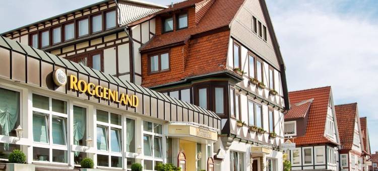 罗根兰德金环酒店(Ringhotel Roggenland)图片