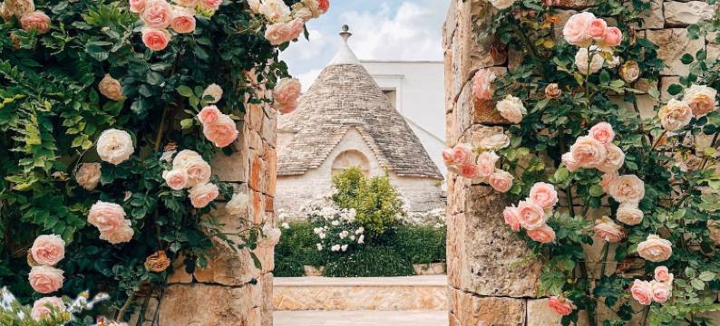 莱昂纳多特鲁利度假住宿加早餐旅馆(Leonardo Trulli Resort)图片